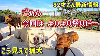 オフシーズンの猟犬たちにエンドレスジャーキー！