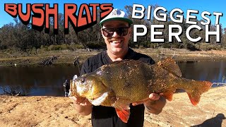 BIGGEST PERCH!!! | Tony gets a NEW PB Redfin Perch | Fishing with the Rowes