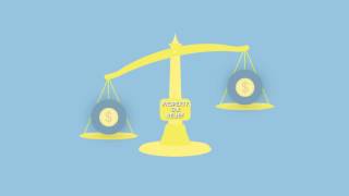 What Does a County Auditor Do?