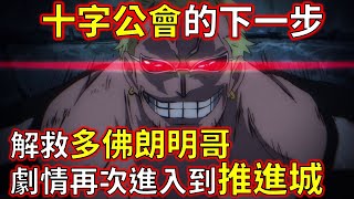 【海賊王】詳細分析\