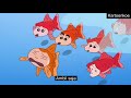 Crayon Shinchan Sub Indo [Kami adalah Ikan Mas]