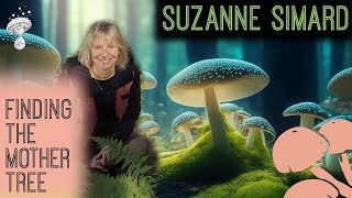 Finding the Mother Tree - Discovering the Wisdom of the Forest | Suzanne Simard