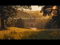 The quiet beauty of everyday life | Piano Playlist