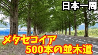 【日本一周#10】姫路城から敦賀湾までの旅を満喫した！！神秘的な琵琶湖！絶景のメタセコイア並木！