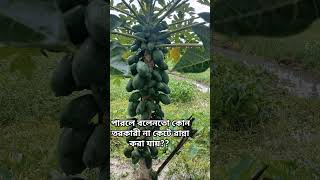 কোন তরকারী না কেটে রান্না করা যায় #ধাঁধাও #for #কোন #sortvideo #motivation