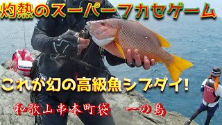 【スーパーフカセゲーム】白昼に幻の高級魚○○ダイ！するするスルルーで真夏の大冒険！