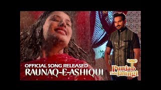 RAUNAQ E ASHIQUI | Punjab Nahi Jaungi | Humayun Saeed | Mehwish Hayat | ARY Films
