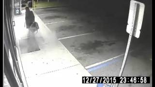 Brevard County Sheriff's Need Help Identifying This Suspect