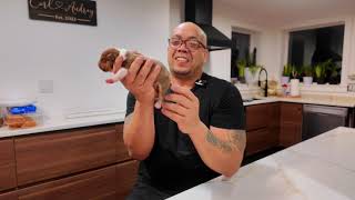 Puppy Weigh-In Week 1 | Hershey X Chuck Norris | XL American Bully Puppies