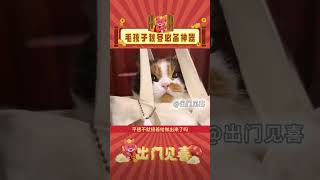 猫猫：宝玑米你是懂拿捏我的！毛孩子秋冬必备神器  这次真的要被联名给萌化了！ #联名 #联名 #毛孩子 #秋冬  #宝玑米 #猫咪 #娱乐评论 #萌宠 #shorts  #出门见喜