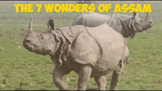 What makes Assam so famous ?  The 7 wonders of Assam