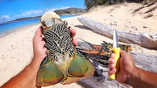Lobster Cooked 2 ways, Surviving From The Ocean - Solo Camping An Uninhabited Island - Part 2