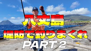 【八丈島】堤防で釣りまくれ！PART2_2024.11.01