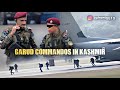 गरुड़ - IAF GARUD Commandos In Kashmir (Military Motivation)