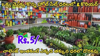 ఒక్క మొక్క కొన్న కొరియర్ | Buy  Plants, Pots, Stands \u0026 Gardening Items @ Wholesaler @ Cheapest Price