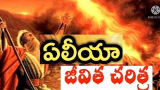 ఏలియ జీవిత చరిత్ర