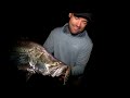 barramundi fishing basics molix shad barra special