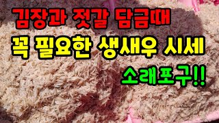 김장에 필요한 생새우젓은 역시 소래포구가 최고