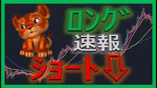 【仮想通貨ビットコイン今後】暴落するかボトムするかは過去の動きと比べれば分かる！【移動平均線を使った仮想通貨チャート検証】