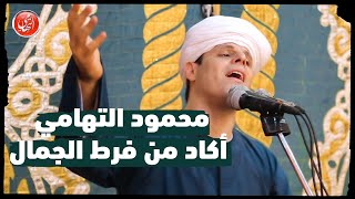 اكاد من فرط الجمال اذوب و شرفتنا بالمصطفي | محمود التهامي | الإحتفال بالمولد النبوي (ليلة مُميزة)