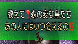 好きなあの人にいつ会える⁉️10サクサクリーディング😍※BGMは私が鳥のモノマネをしてます。森の中にいるような気分にしてあ・げ・る❣️