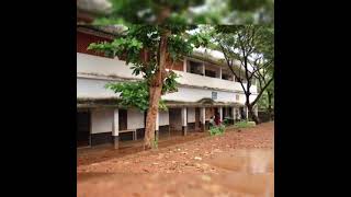 അങ്ങനെ ഒക്കെ മറക്കാൻ പറ്റോ സ്കൂൾ ലൈഫ് || a m m high school || harshida's world ||