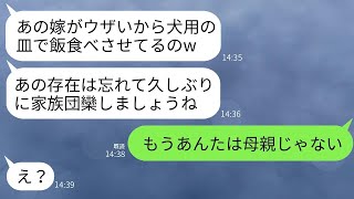 お盆休みに3年ぶりに実家に帰省すると、弟の嫁がペット用の皿で夕飯を食べていた。「義母からの指示です」と言われ、私はキレて母にお仕置きをした結果www