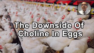 The Potential Downside Of Choline In Eggs - Joel Kahn, MD - Interview