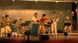 2010年8月14日　蓮田市・椿山夏祭り　ハワイアン演奏（３）