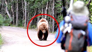 10 TERRIFYING Bear Encounters You Shouldn’t Watch!