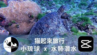 【葉猫NEKOBA】小琉球 x 水肺潛水