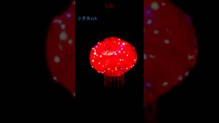 During the Chinese New Year, the electronic hanging and turning red lanterns with the words 