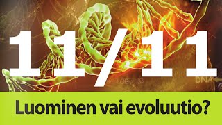 Luominen vai evoluutio? 11/11, päivitetty simpanssi? P Reinikainen