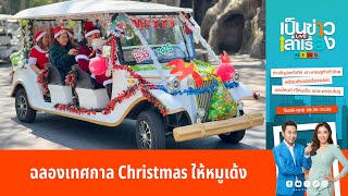 ฉลองเทศกาล Merry Christmas ให้หมูเด้งและเพื่อนสัตว์ | เป็นข่าวเล่าเรื่อง