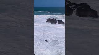 Waimea Bay Two Days Before the Eddie