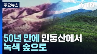 50년 만에 민둥산에서 녹색 숲으로...녹색의 기적 / YTN