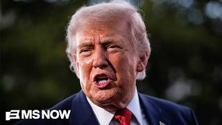 'Thief in-chief': Dem. Rep. blasts Trump's erratic behavior