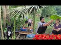 The Orphan Boy - Picking beans to sell and cutting bamboo to build a roof to cover the water tank