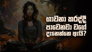 භාවනා කරද්දී පාවෙනවා වගේ දැනෙන්නේ ඇයි?