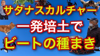 サタナスカルチャー【一発培土でビートの種まき】