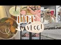 Life vlog 🤍🇲🇾|| student life👩🏻‍🎓, performing arts bts, damia’s birthday💗