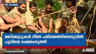 കിണറ്റിലകപ്പെട്ട പുലിയെ രക്ഷപ്പെടുത്തി |Leopard rescue