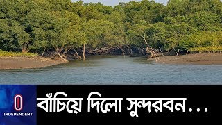 (LIVE) অবশেষে বিপদ কাটলো বাংলাদেশের || Bulbul Brief