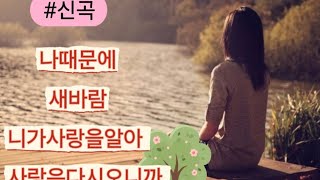 #나때문에. 새바람. 니가사랑을알아. 사랑은다시오니까. 2025년. 새해복많이받으세요