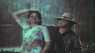 Aku Chaatu Pinda Thadise Video Song  ||  Vetagadu || N T Rama Rao || Sridevi || ntr || shalimarsongs