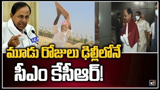 మూడు రోజులు ఢిల్లీలోనే.. సీఎం కేసీఆర్! | CM KCR Delhi Tour Latest News | Paddy Procurement | 10TV