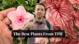 The Best Plants From TPIE