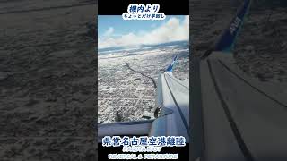 機内から県営名古屋空港離陸 #RJNA #Takeoff #RWY34 #shorts #MSFS #FlybyWireA320 #stable