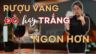 Rượu Vang Đỏ Khác Rượu Vang Trắng như thế nào? | Avino Wines