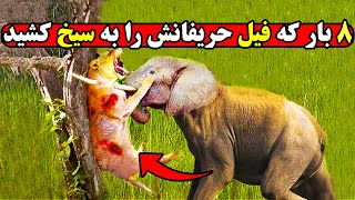 موجودات بدشانسی که به وحشیانه ترین شکل توسط فیل سلاخی شدند